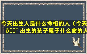 今天出生人是什么命格的人（今天 🐯 出生的孩子属于什么命的人）